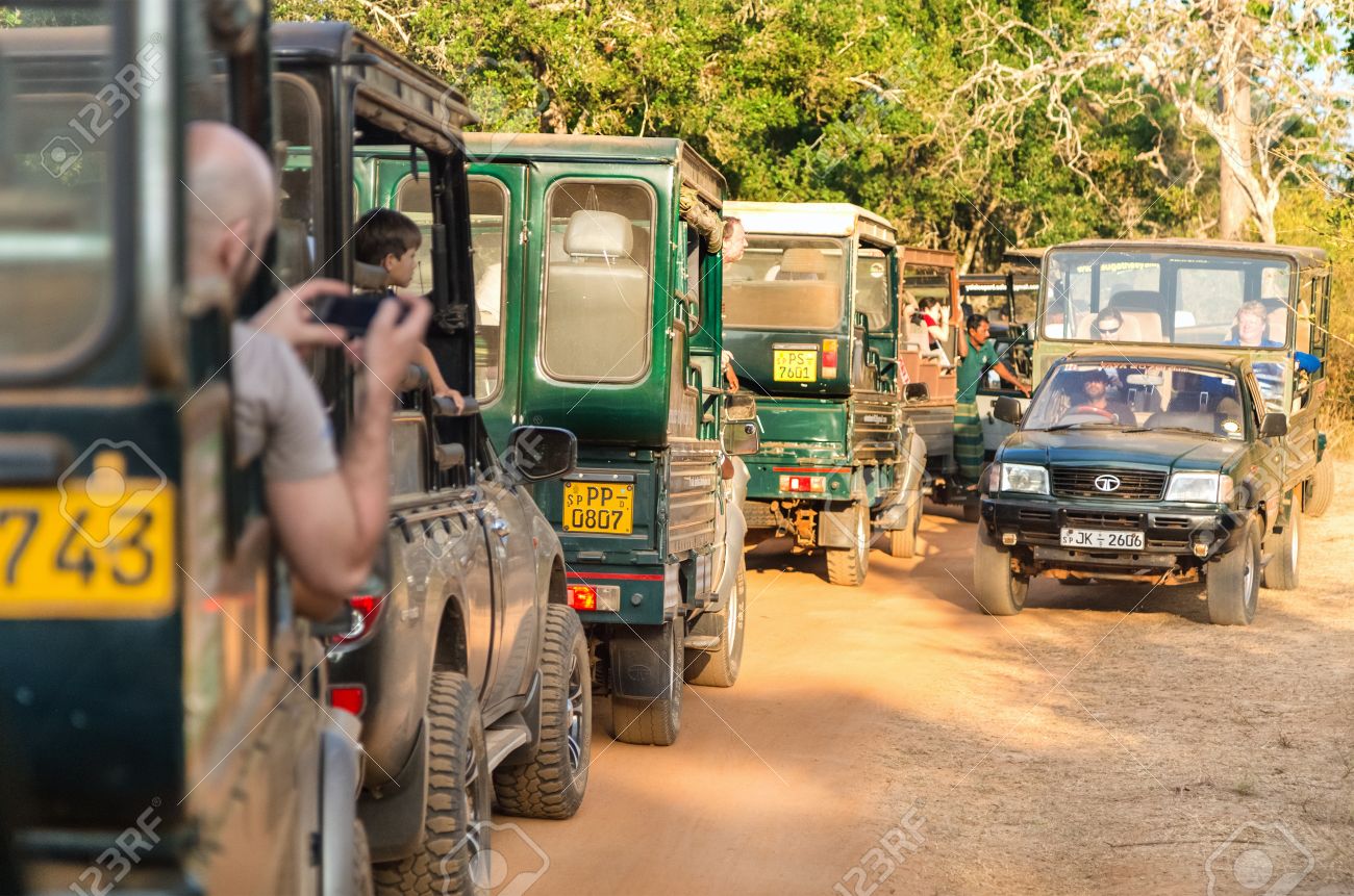 Yala National Park Jeep Safari