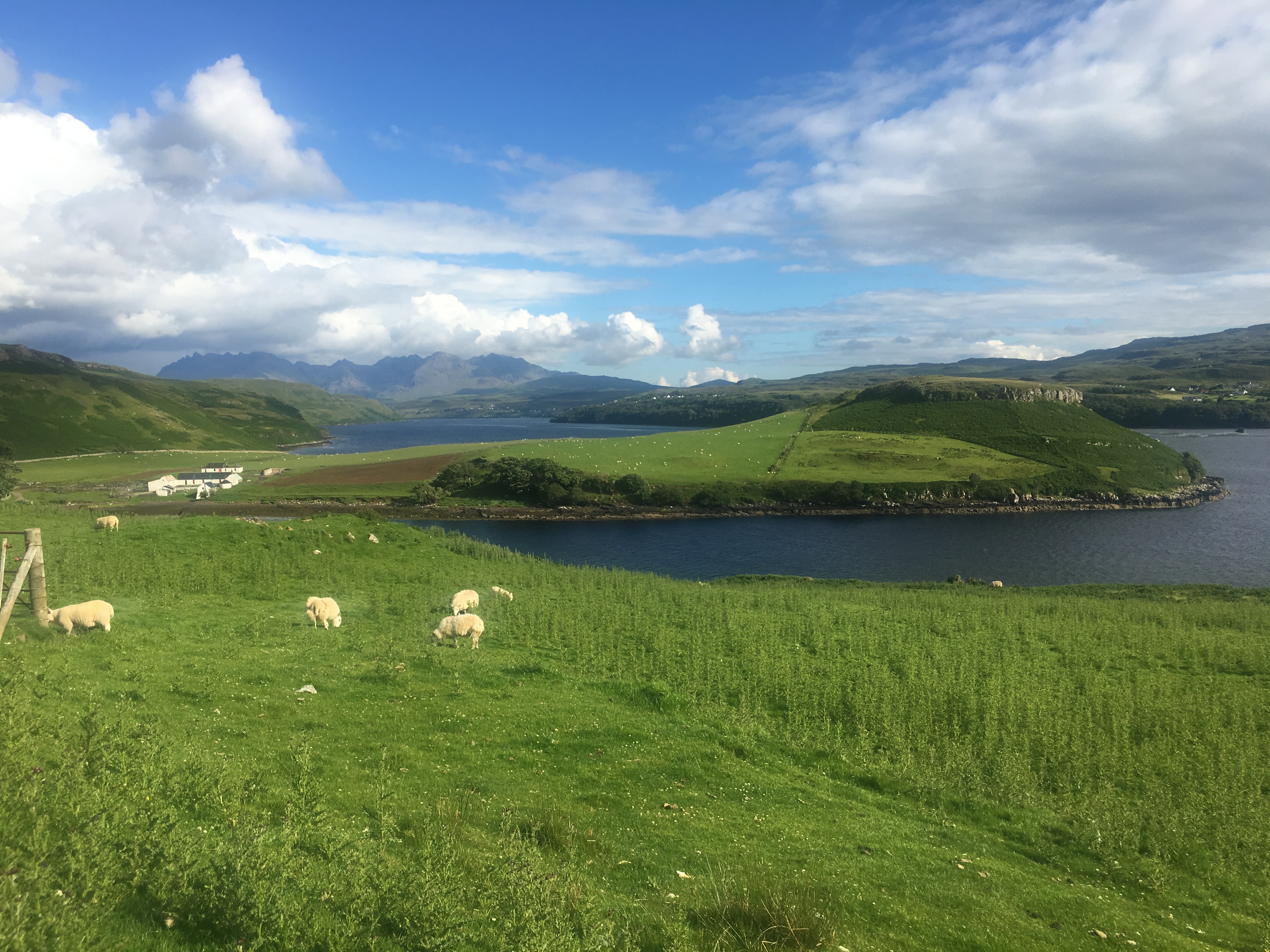 Scotland - Sheep, Scotch and Scenery